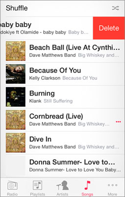 delete-iphone-songs-sc[1]