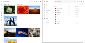google-photos-duplicate-detection-across-drives google photos duplicate detection across drives