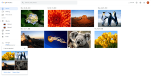 google-photos-duplicate-detection-working google photos duplicate detection working