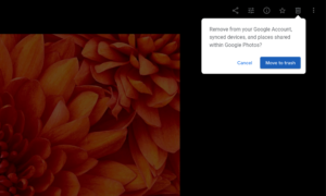 google-photos-manually-delete-duplicates google photos manually delete duplicates